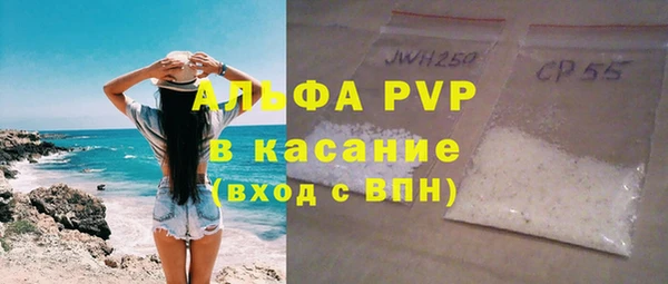 PSILOCYBIN Горняк