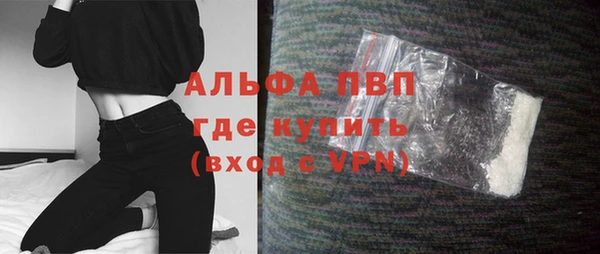 PSILOCYBIN Горняк