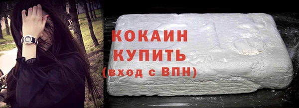 PSILOCYBIN Горняк