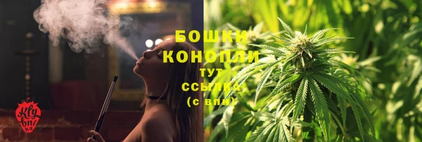 PSILOCYBIN Горняк