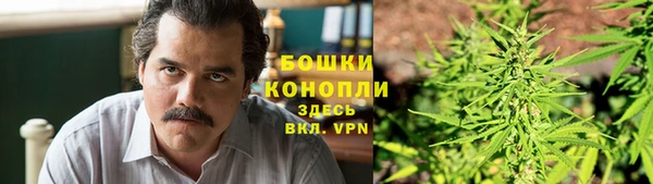 PSILOCYBIN Горняк