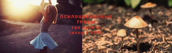 СК Горнозаводск