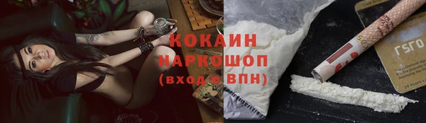 СК Горнозаводск