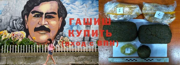 PSILOCYBIN Горняк