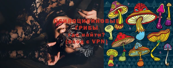 PSILOCYBIN Горняк