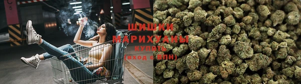PSILOCYBIN Горняк
